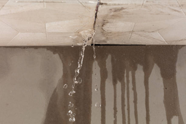 Professional Structural Drying technician working in Adamsville, OH